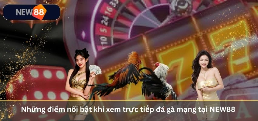 Những điểm nổi bật khi xem trực tiếp đá gà mạng tại NEW88