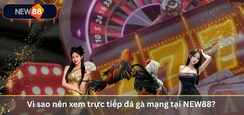 Vì sao nên xem trực tiếp đá gà mạng tại NEW88?